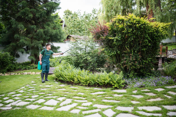 Best Soil Testing and Treatment  in Kings Park, VA
